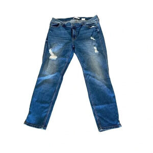 Eunina Kasia Women's Blue Low Rise Skinny Leg Cropped Denim Jean Size 2XL